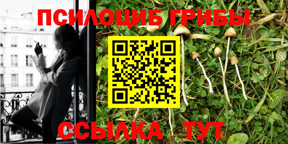 Псилоцибиновые грибы MAGIC MUSHROOMS  Вход с VPN  где можно купить наркотик  Галлюциногенные грибы прущие грибы  Кирово-Чепецк 